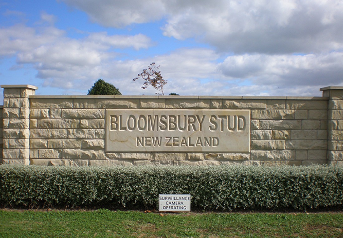 Hinuera landscaping paving 5