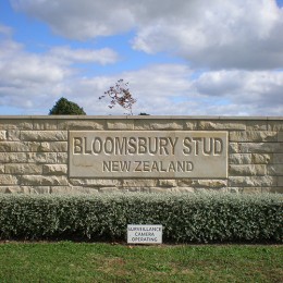 Hinuera landscaping paving 5