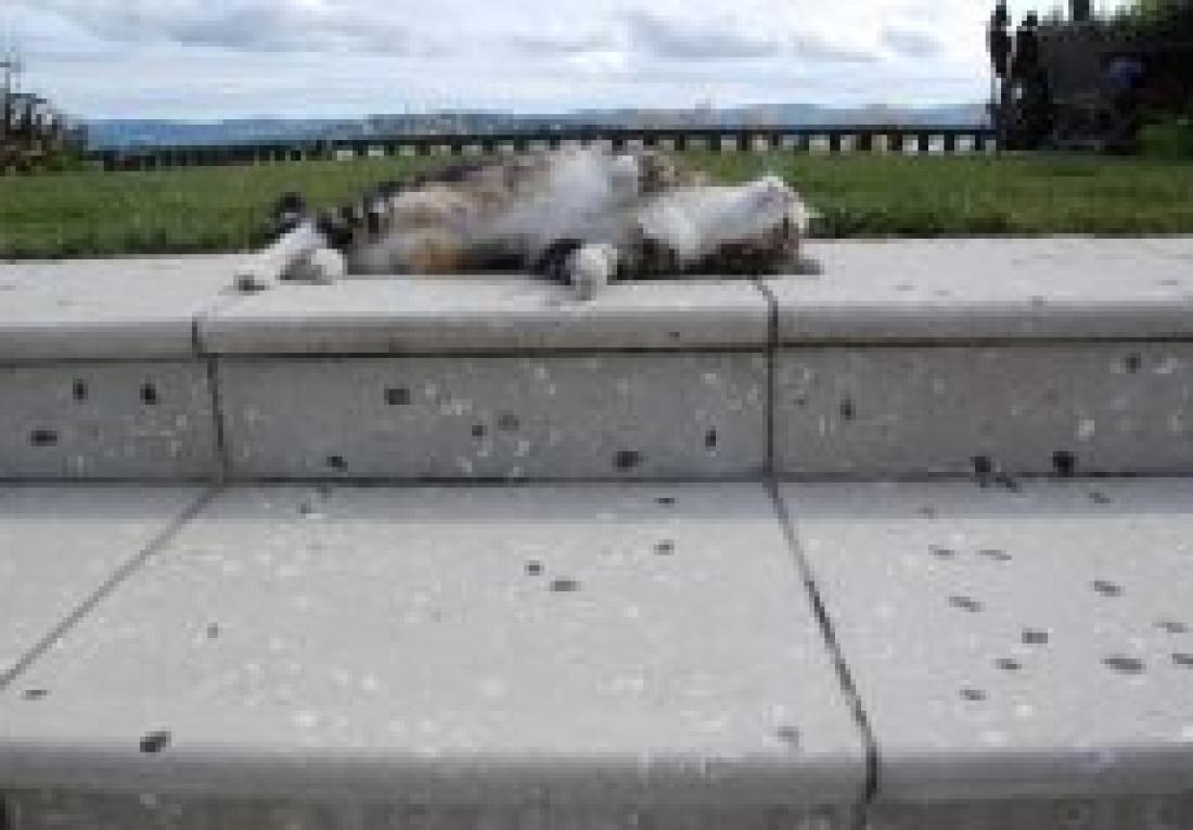 eastbourne website pics 166 1.jpg nggid03975 ngg0dyn 240x160x100 00f0w010c011r110f110r010t010