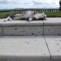 eastbourne website pics 166 1.jpg nggid03975 ngg0dyn 240x160x100 00f0w010c011r110f110r010t010