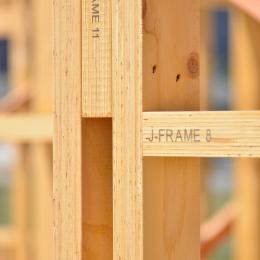 J Frame 8 and 11