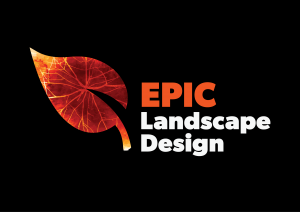 epic landscapes rgb background