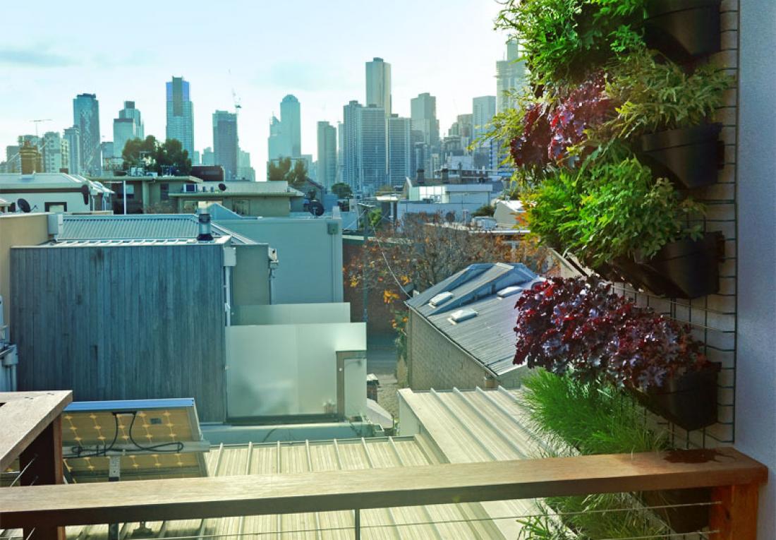 NZ Vertical Gardens